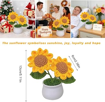 Sunflower Gift for Women, Emotional Support Plant