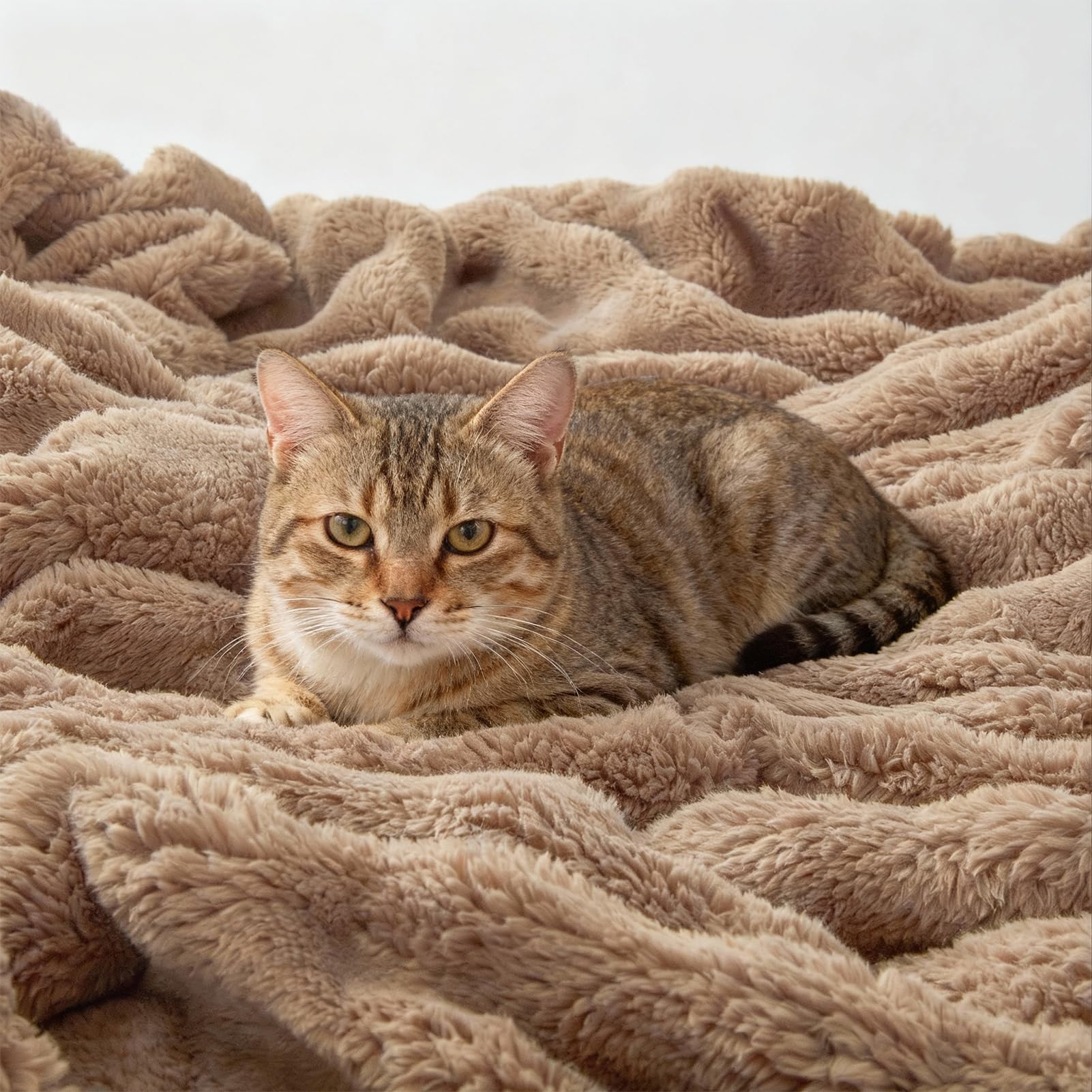 Topfinel Manta Termica Polars,Tela de Burbujas Termica Suave y Segura,Oeko-Tex,Apta para Cama 180, Mantas de Cama de Invierno Aptas para Bebe Perro y Gato en Sofa Picnic y Playa,Marrón,130 x 150 CM