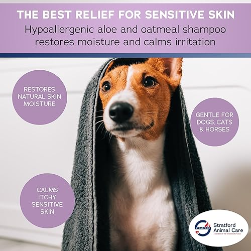 Miniatura 4 de Stratford Pharmaceuticals Champú de avena - Sin jabón, alivia la piel sensible con aloe para la piel seca con picazón para perros y gatos, 12 onzas