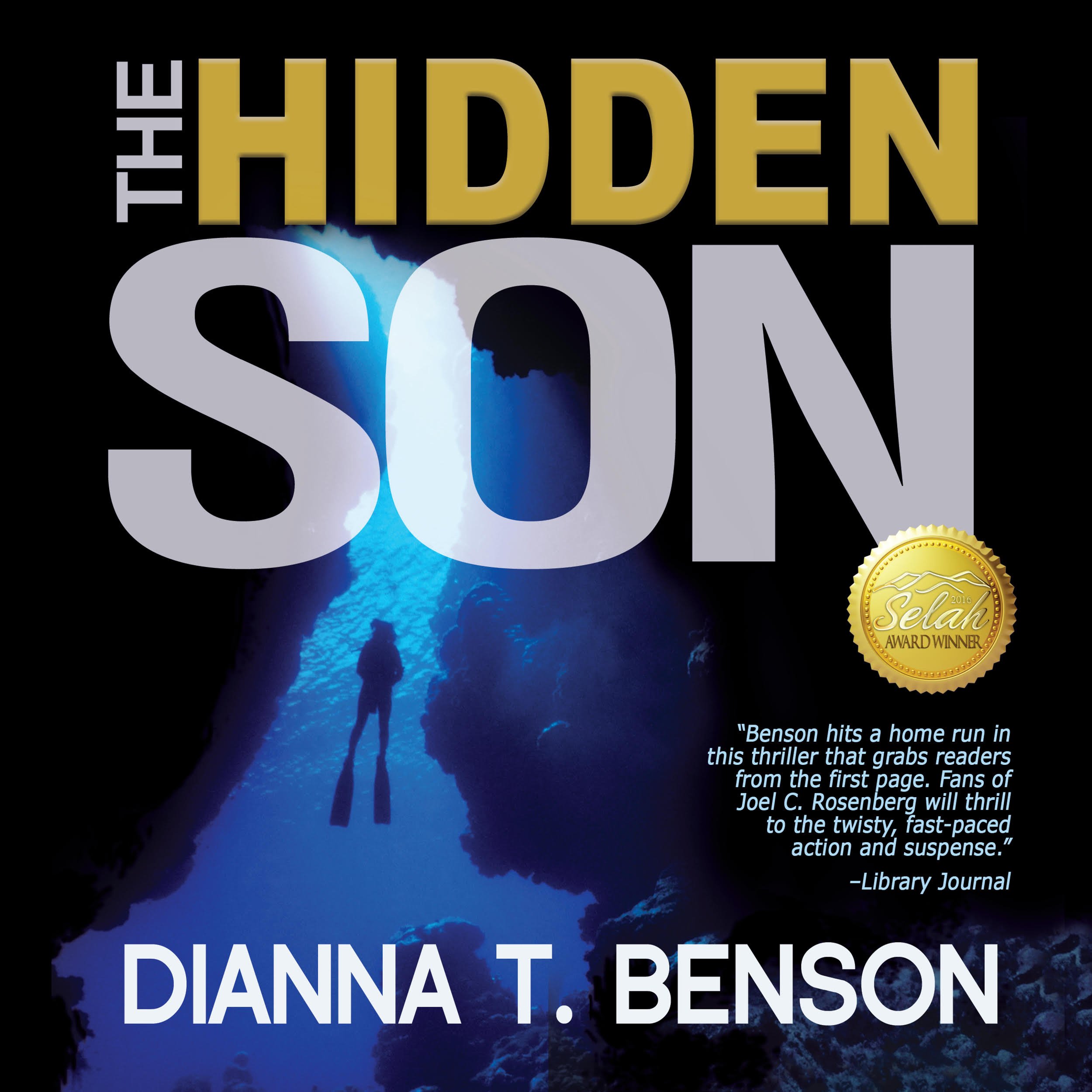 Cover art for The Hidden Son