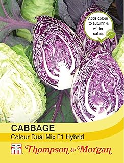 Cabbage 'Colour Dual Mix' Seeds Hardy Annual Vegetable Garden Plants Easy to Grow Your Own 1 Packet of 50 Seeds by Thompson and Morgan