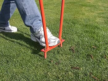 Amazon.co.jp: キンボシ(Kinboshi) ゴールデンスター 芝生手入具