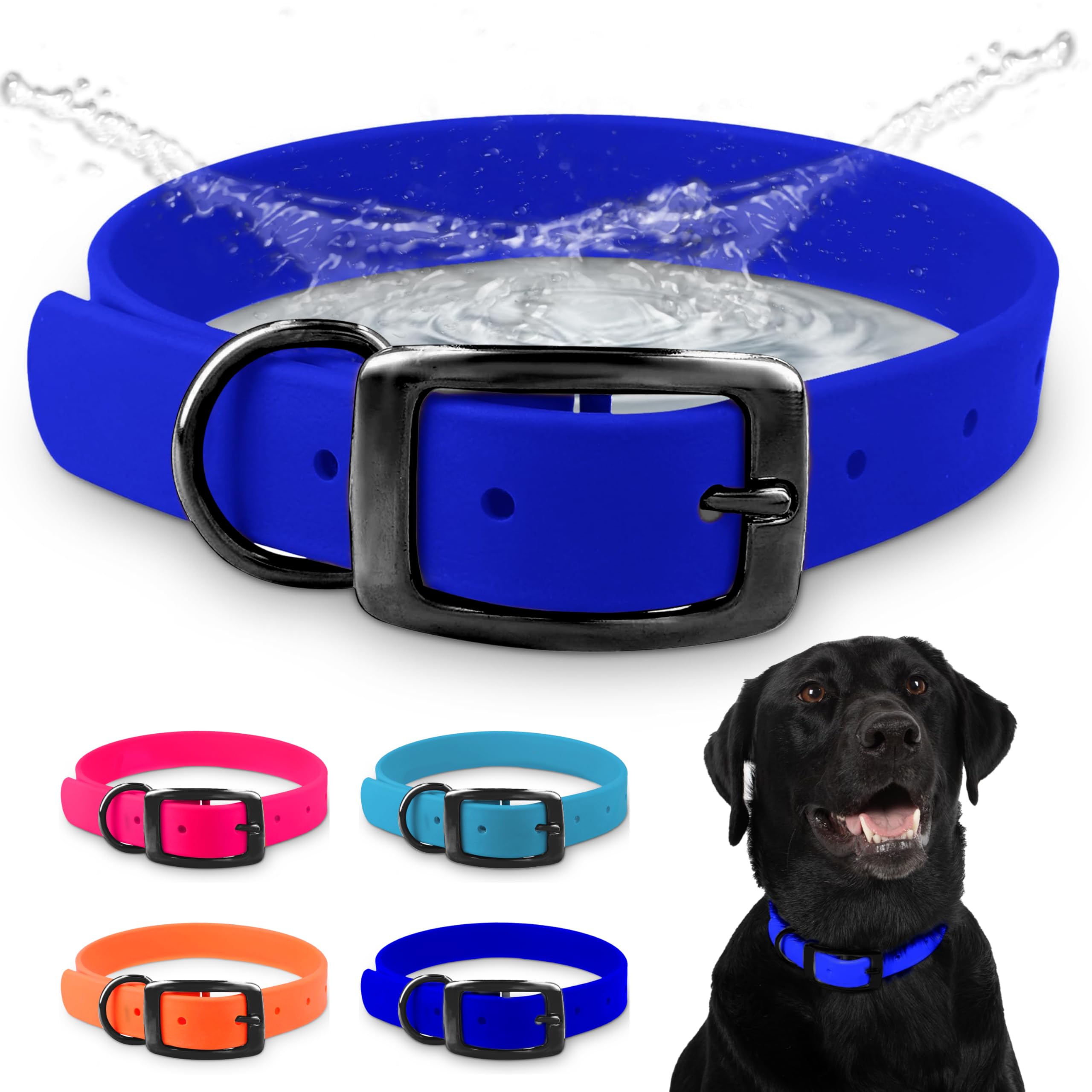 Collier imperméable chien de chasse bleu pour randonnées et sorties boueuses