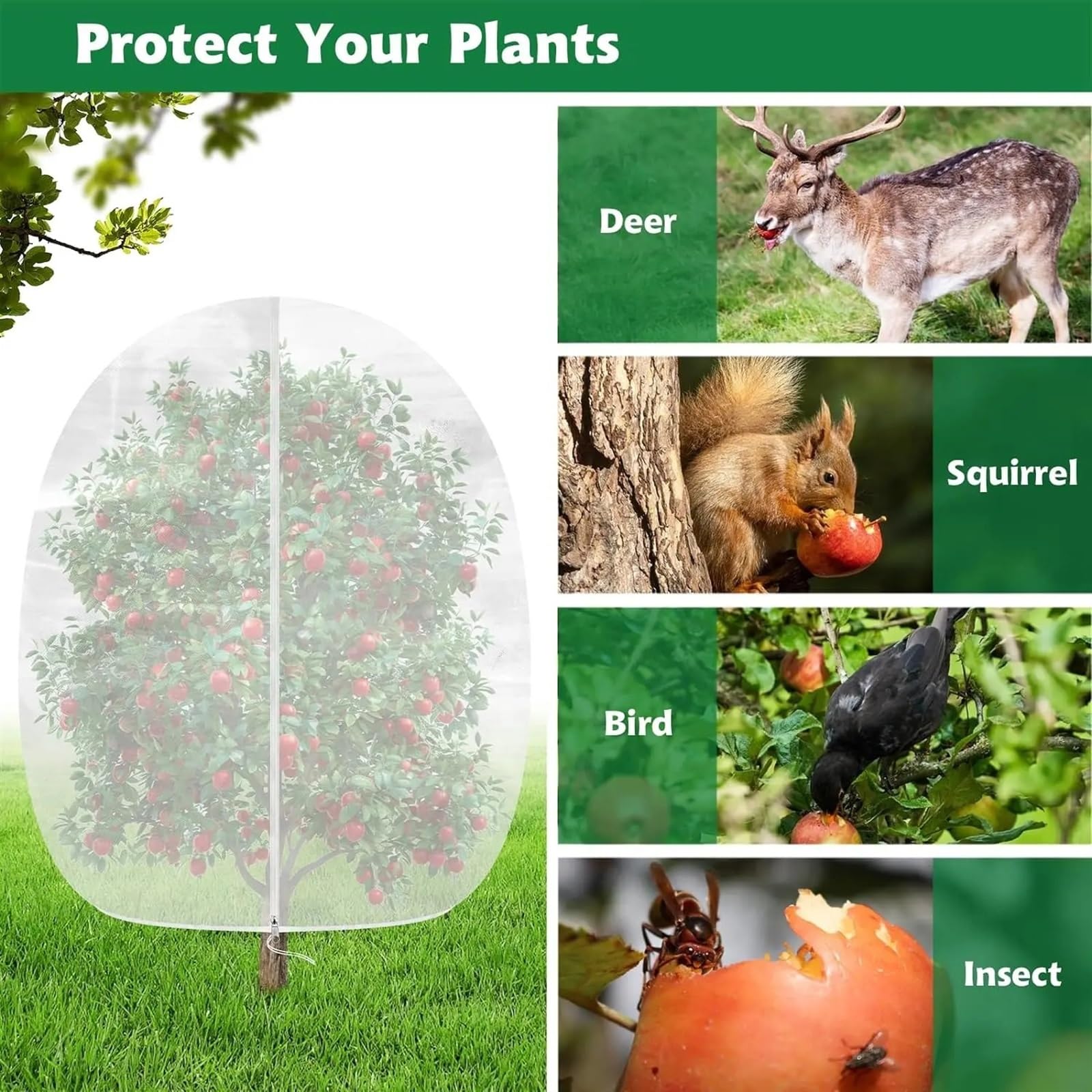Malla para frutales Cubiertas de Red Protectoras for Plantas de jardín y árboles frutales Grandes de 6x7 pies con Cremallera y cordón, Bolsas de Red de Malla de protección de Plantas 1 Uds