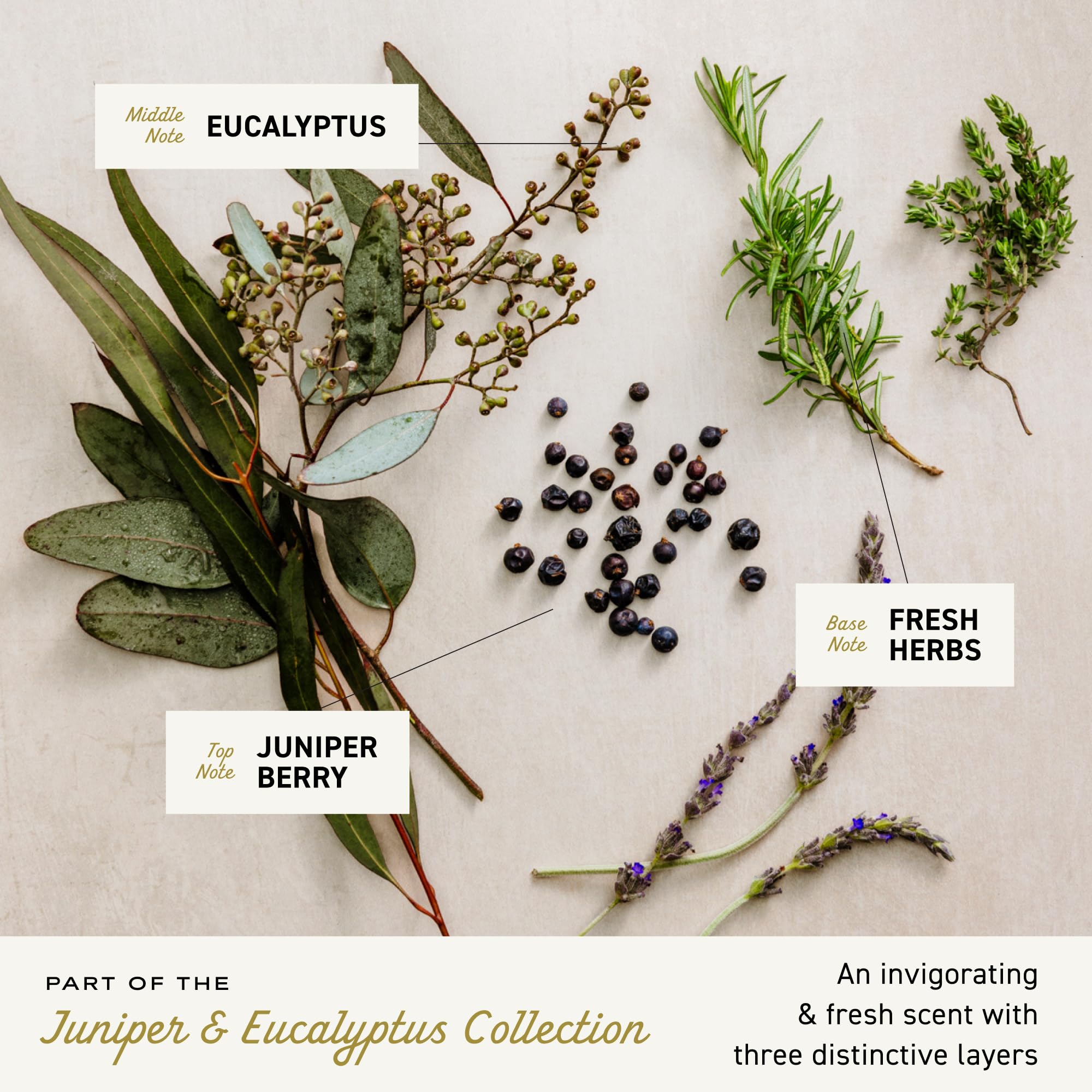 Cremo Juniper & Eucalyptus Barber Grade Thickening Shampoo, 16 Fl Oz