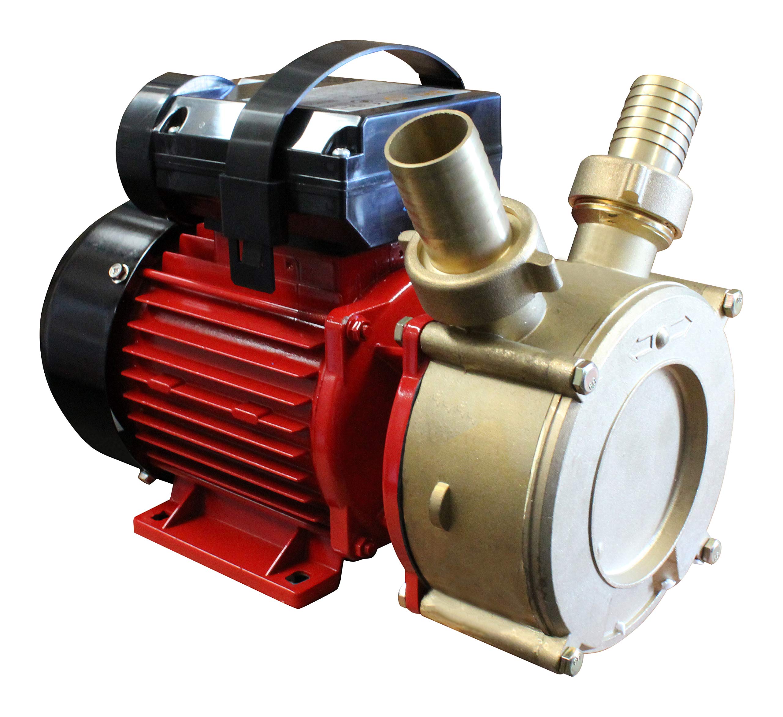 pompe de transvasement de bffbem30 débit 65L/min.