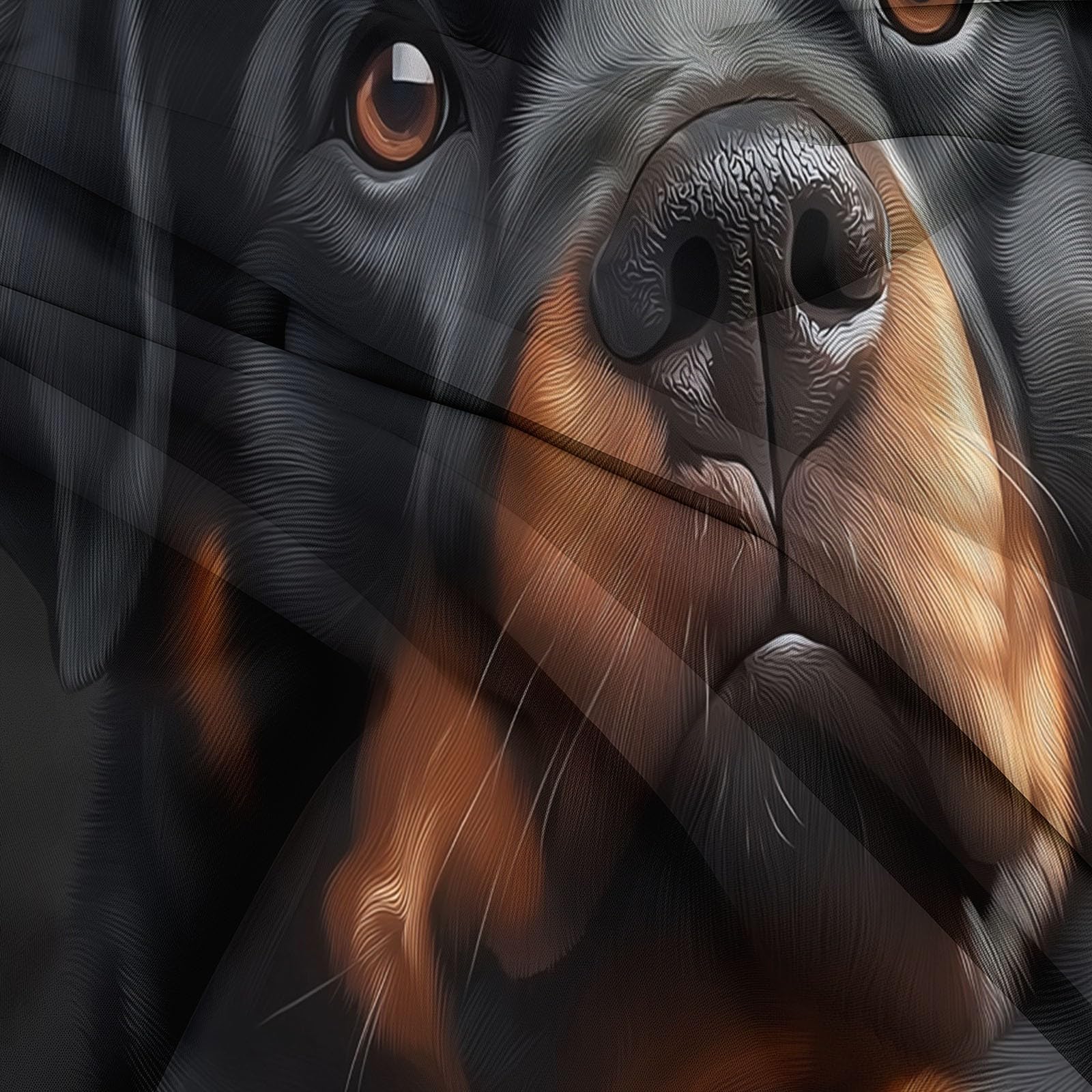 Generico Zwarte 3D-beddengoedset, 240 x 220 cm, Rottweiler