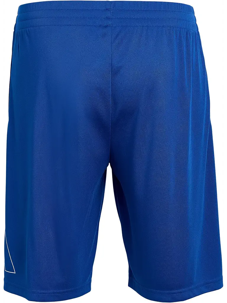 Blue adidas Essentials Big Logo Shorts (Big Kid)
