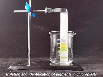 Grade 1 Chromatography Paper 290 x 290 mm,Pack of 10