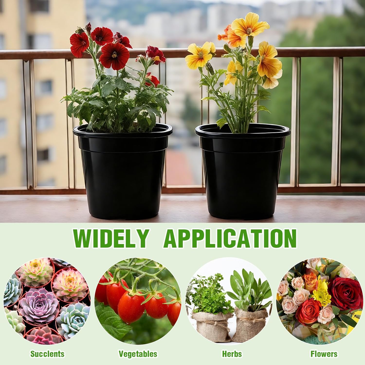 10 Pack 10 Inch Large Black Nursery Pots with Drainage Holes Plastic Seedling Nursery Pots Plant Containers for Vegetables, Flower, Greenery, Orchids, Aloe, Indoor Outdoor Use