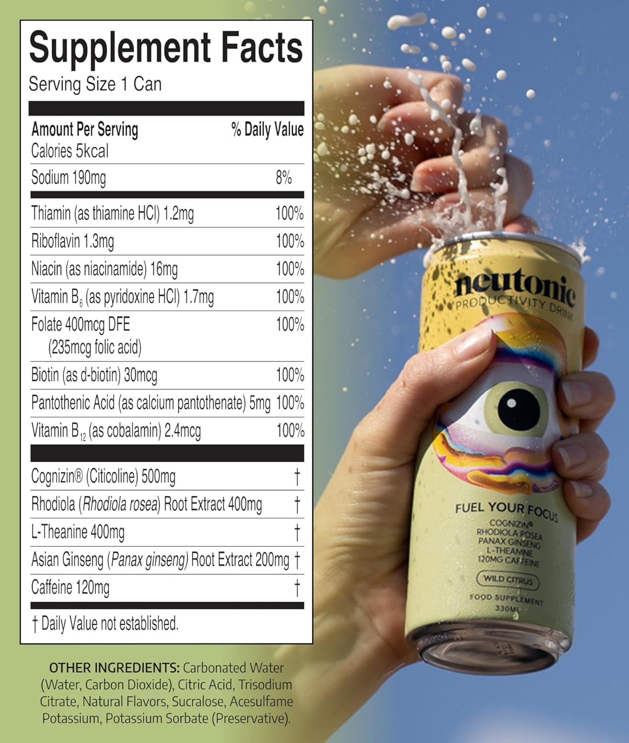 Neutonic Nootropic Productivity Energy Drink | Wild Citrus 12 Cans | 120mg Natural Caffeine, Zero Sugar | Support Memory, Mental Clarity, Cognitive Function | Boost Focus, Energy, Brain Health - Image 2