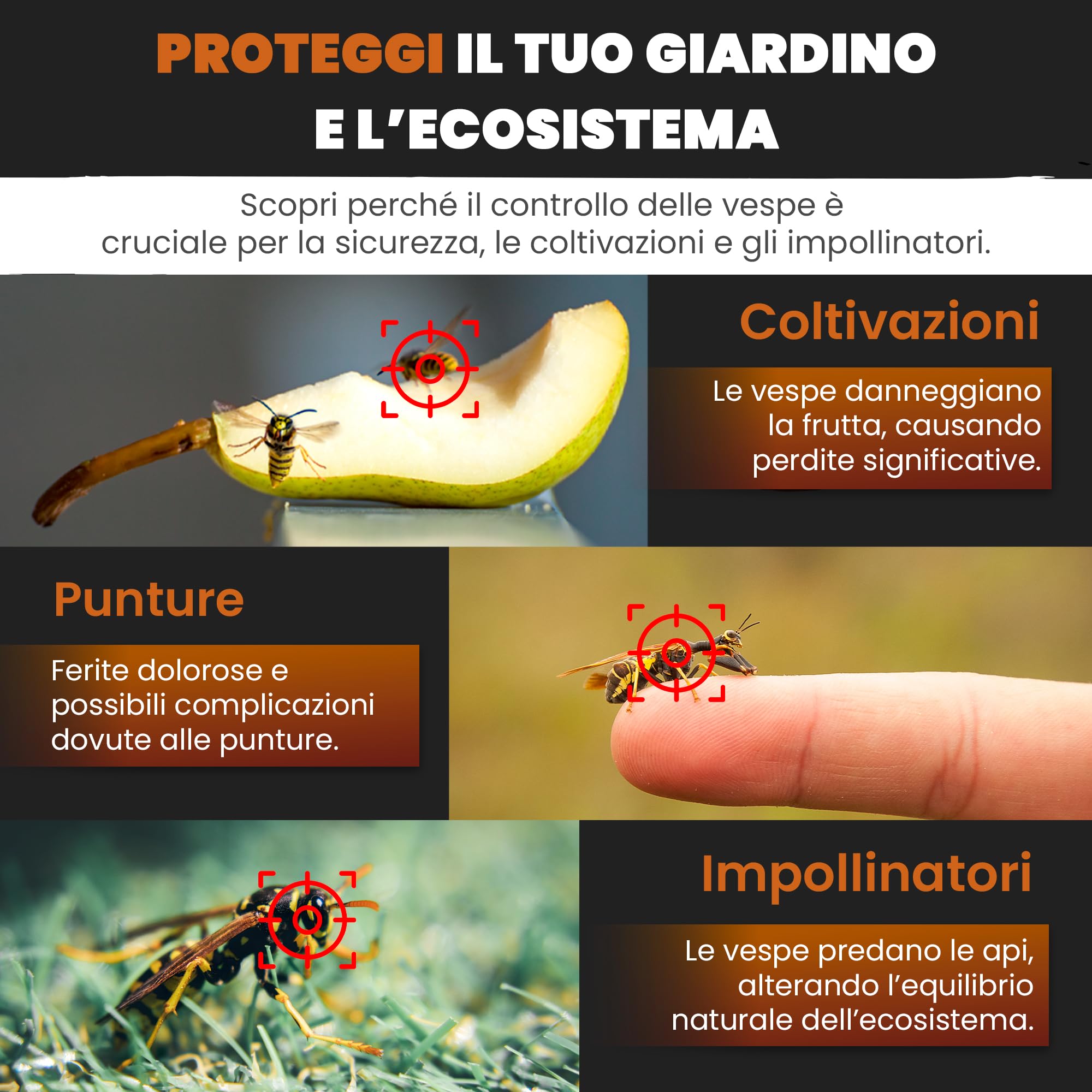 2 Trappola Calabroni - Trappola per Vespe, Trappole per Vespa Velutina Cattura di Calabroni Asiatico Grosse da Esterno, 2 Pezzi da Appendere