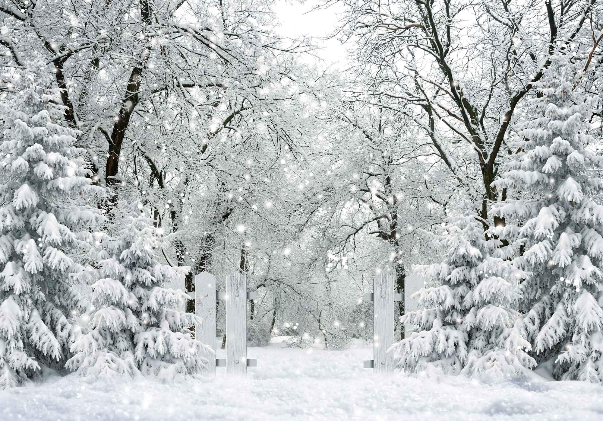 Felortte 7x5FT White Winter Forest Scene Photography Backdrop Wonderland Snowflake Landscape Background for Christmas Xmax Family Holiday Party