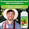 Organic Pomegranate Fertiliser 1 Litre - High Yield Thanks to Extra Phosphorus - Organic & Vegan - Premium Liquid Fertiliser - No Animal Ingredients - High Yield Concentrate for 100 Litres of Water