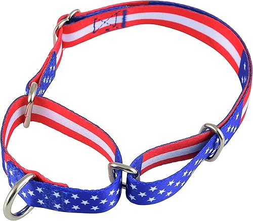 Miniatura 2 de Martingale Collar para perros, entrenamiento antideslizante para cachorros para niños o niñas, perros pequeños o grandes, linda flor, rosa, patrones