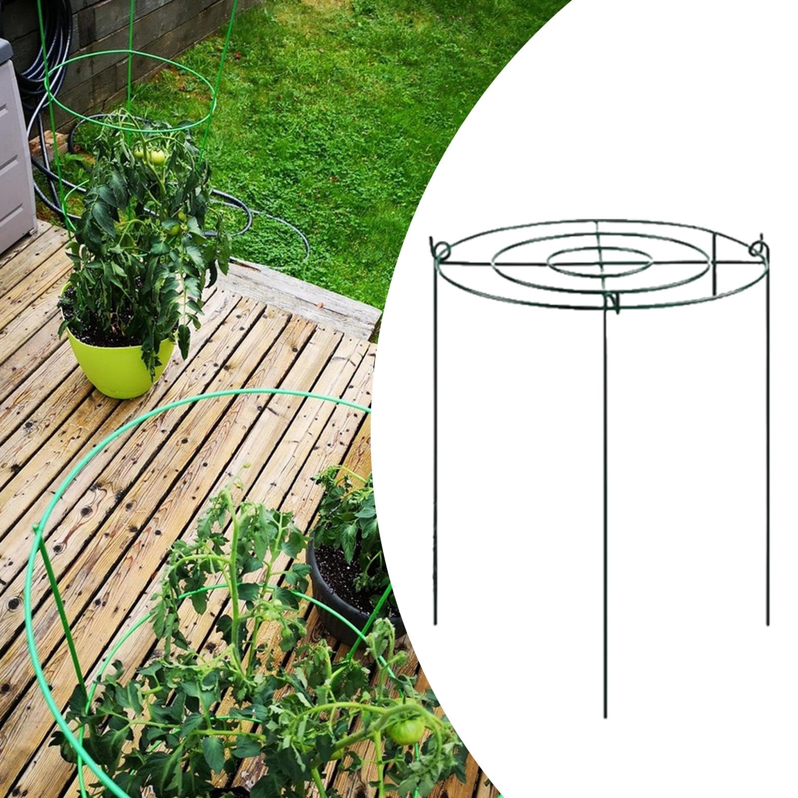Tuteurs Annulaires pour Plantes Grimpantes, Poteaux Métalliques pour, Fraisiers, Plantes D'extérieur, Orchidées, Tomates, 35 Cmx60 Cm