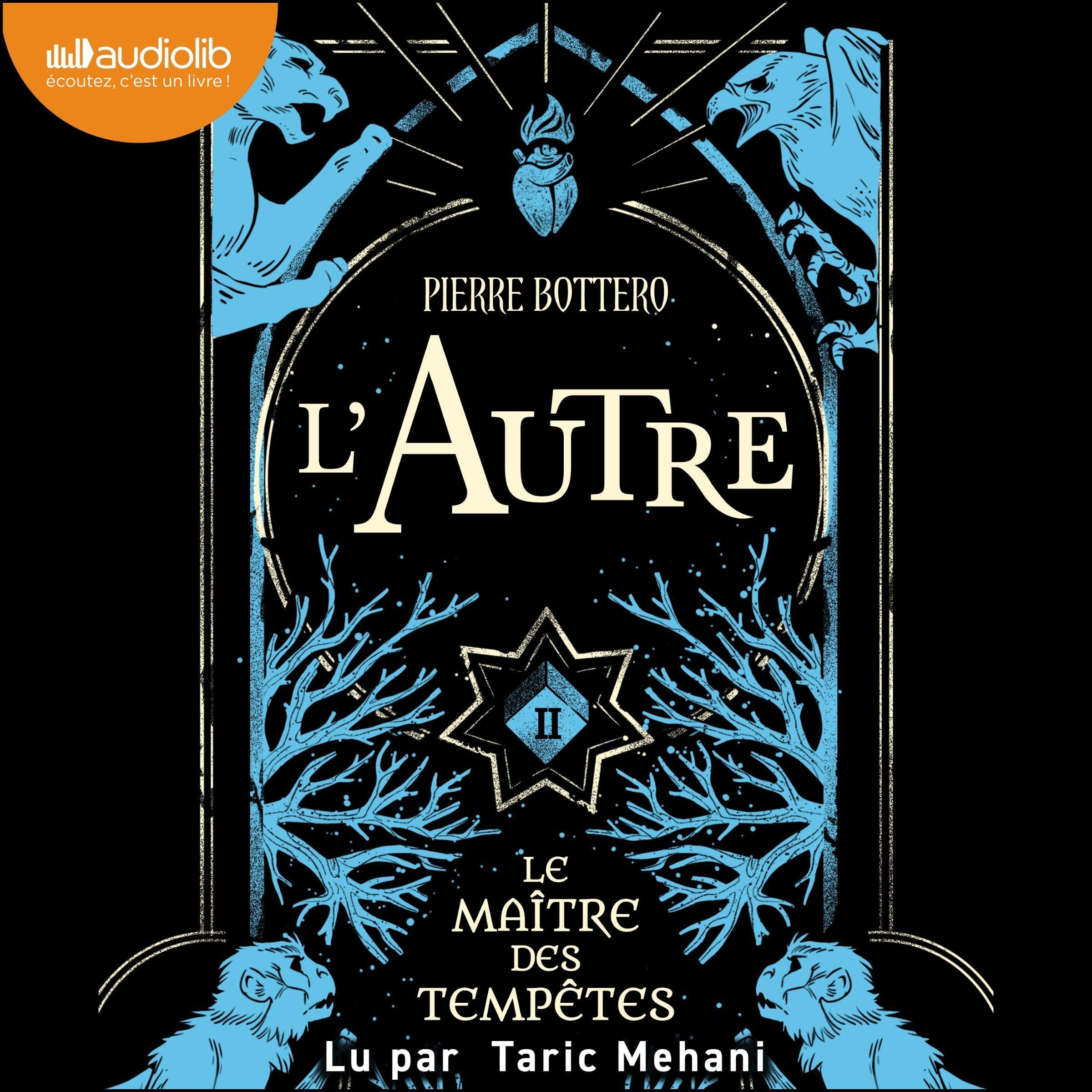 Cover art for Le Maître des tempêtes