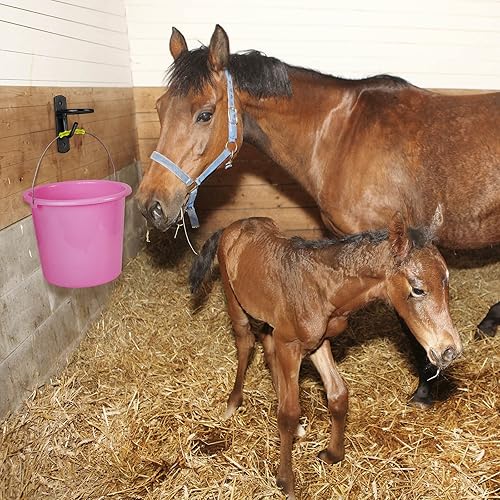 Miniatura 4 de Tudomro 16 ganchos para cubo ecuestre, ganchos de metal para caballo, caballo, agua, cubo de agua, ganchos para cubo de alimentación de caballos con