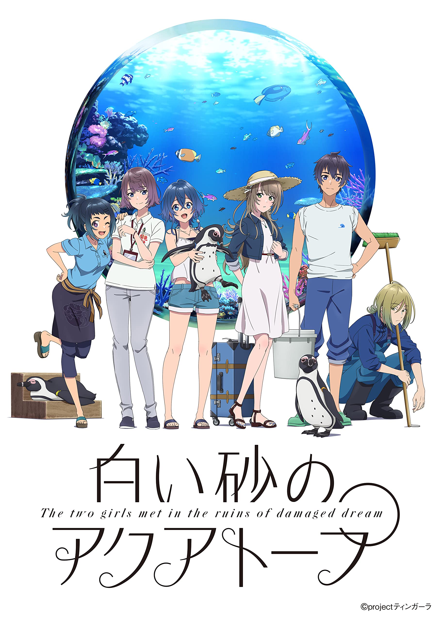 白い砂のアクアトープ Blu-ray