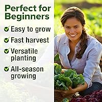 Vista 347 de HOME GROWN Más de 1000 semillas de cilantro para plantar en interiores o exteriores, hierbas tradicionales sin OMG, semillas de plantas de cilantro