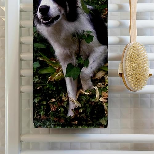 Miniatura 2 de Toalla 3D Rose Border Collie de 2 pulgadas, 15 x 22 pulgadas