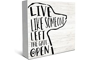 SRADMO Live Like Someone Left The Gate Open Box Decor