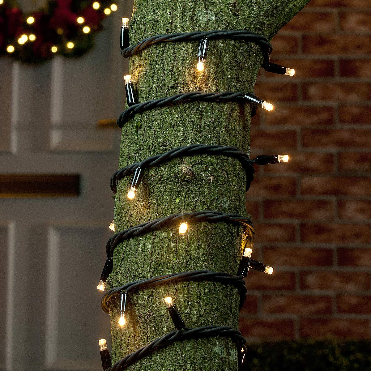 Festive Lights LED Lichterkette – ConnectPRO – erweiterbar bis 950m - wetterfeste Outdoor Profiqualität (Warmweiß, 20m)
