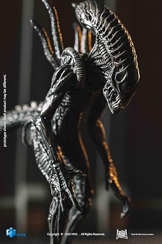 Miniatura 7 de Hiya Toys Exquisite Mini Series - Figura de acción de guerrero AVP R Xeno de 5 pulgadas a escala 1/18