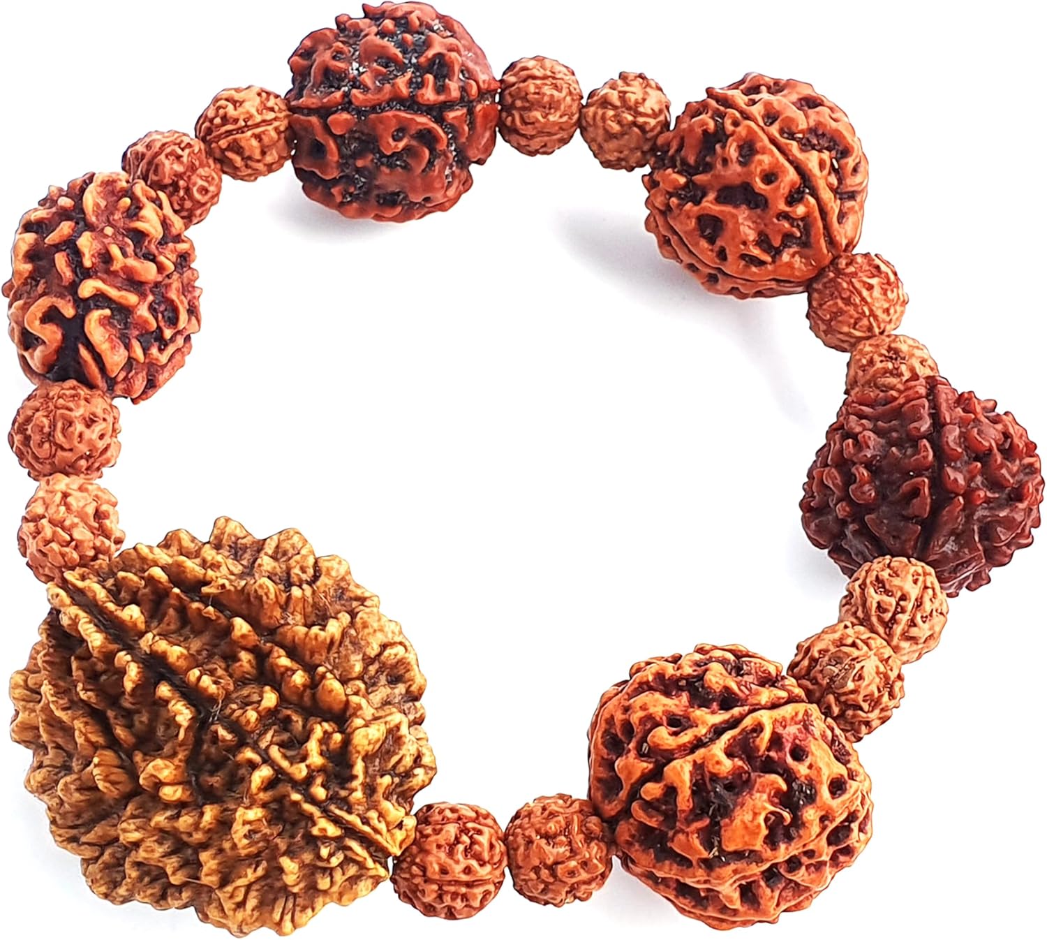 Rudraksha Bracelet For Men & Womens 2 Face , 3 Mukhi , 4 Mukhi , 5 Face , 6 Mukhi , 7 Mukhi Stretchable Himalayan Rudraksha Beads Wrist Band for Yoga, Meditation Healing (Compy fit for wrists up to 7-7.75 inch)