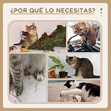 Ver la foto 5