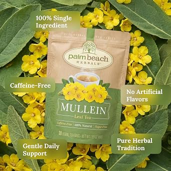 Palm Beach Medicinal Herbs Mullein Leaf Tea - Mullein Leaves for Respiratory and Wellness Support - Caffeine Free - Sugar Free - 30 Herbal Tea Bags