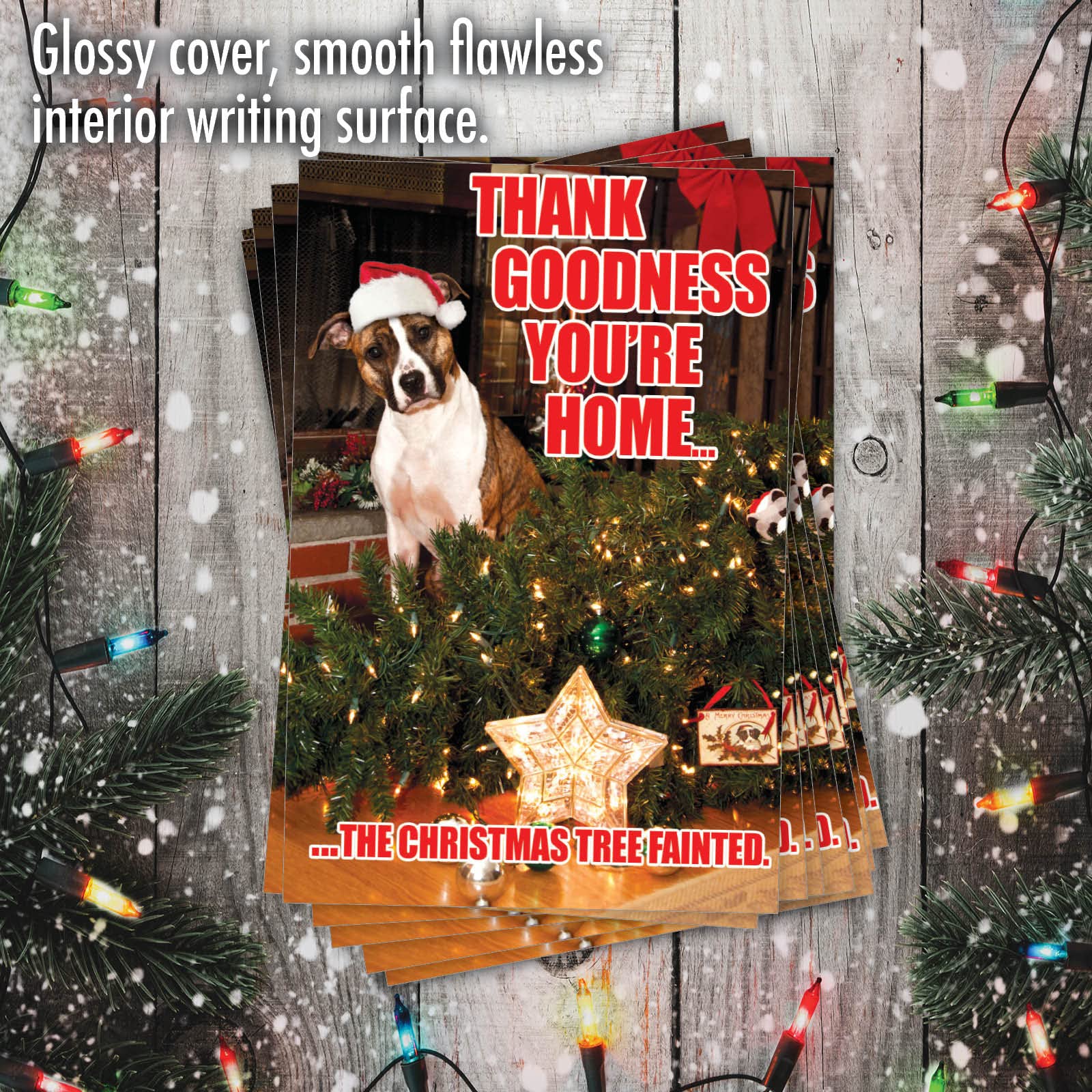 NobleWorks Bulk Pack Of 36 Humorous Merry Christmas Nicaragua