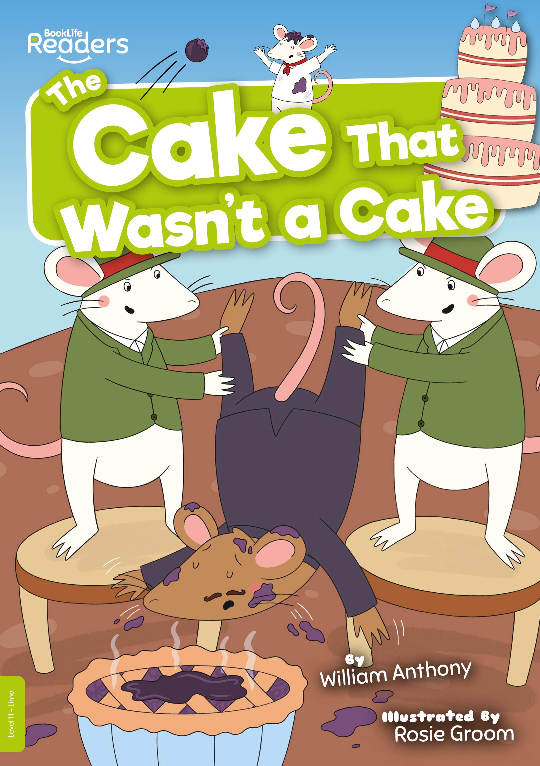 The Cake That Wasn't a Cake by William Anthony PAPERBACK 9781839274114