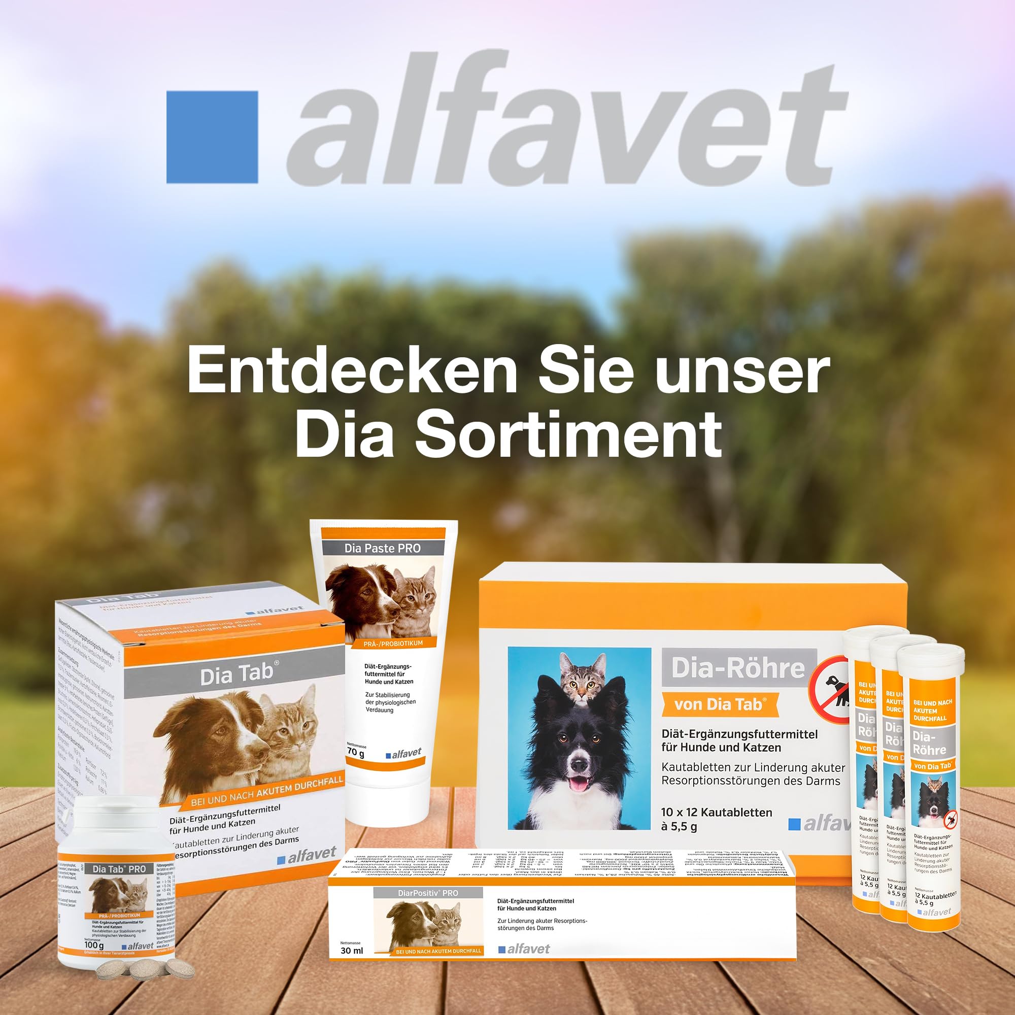 alfavet Dia Tab Tubes 2 x 12 x 5,5 g – Complément alimentaire diététique pour chiens et chats – Comprimés à croquer en cas de diarrhée – Avec bentonite et ingrédients végétaux pour réguler la