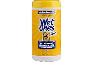 Clorox Pet Mess Cleaning Wipes: Tropical Splash Scent