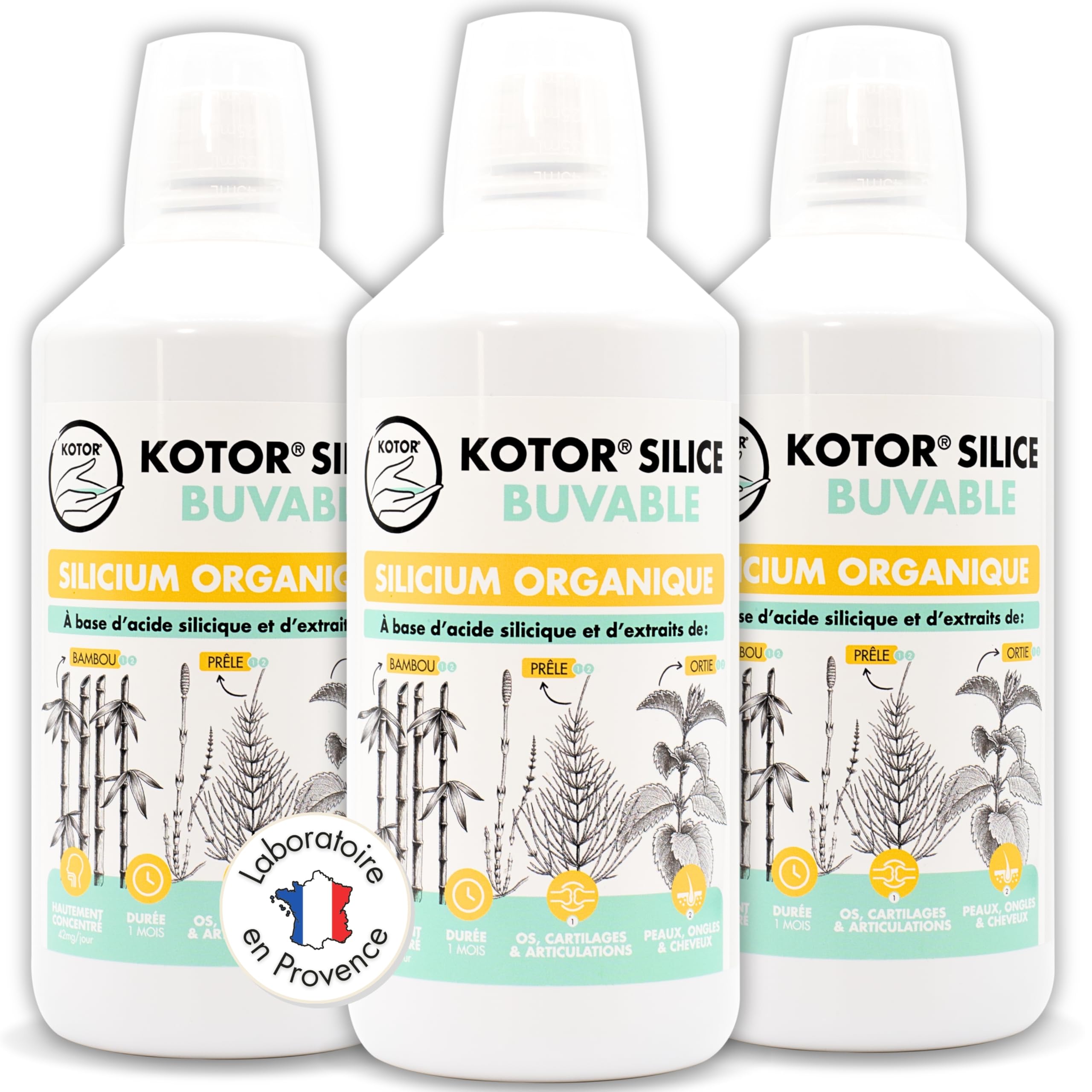 KOTOR SILICE BUVABLE 1L | Set di 3 | Silicio organico francese e naturale, salute delle articolazioni, cartilagine, ossa, pelle, capelli, unghie | silicio + ortica + equiseto + bambù | 3 mesi
