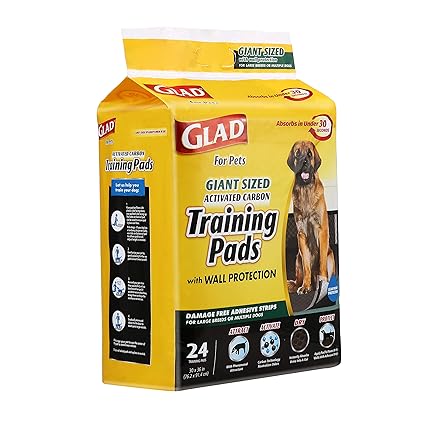 easy saltwater corals