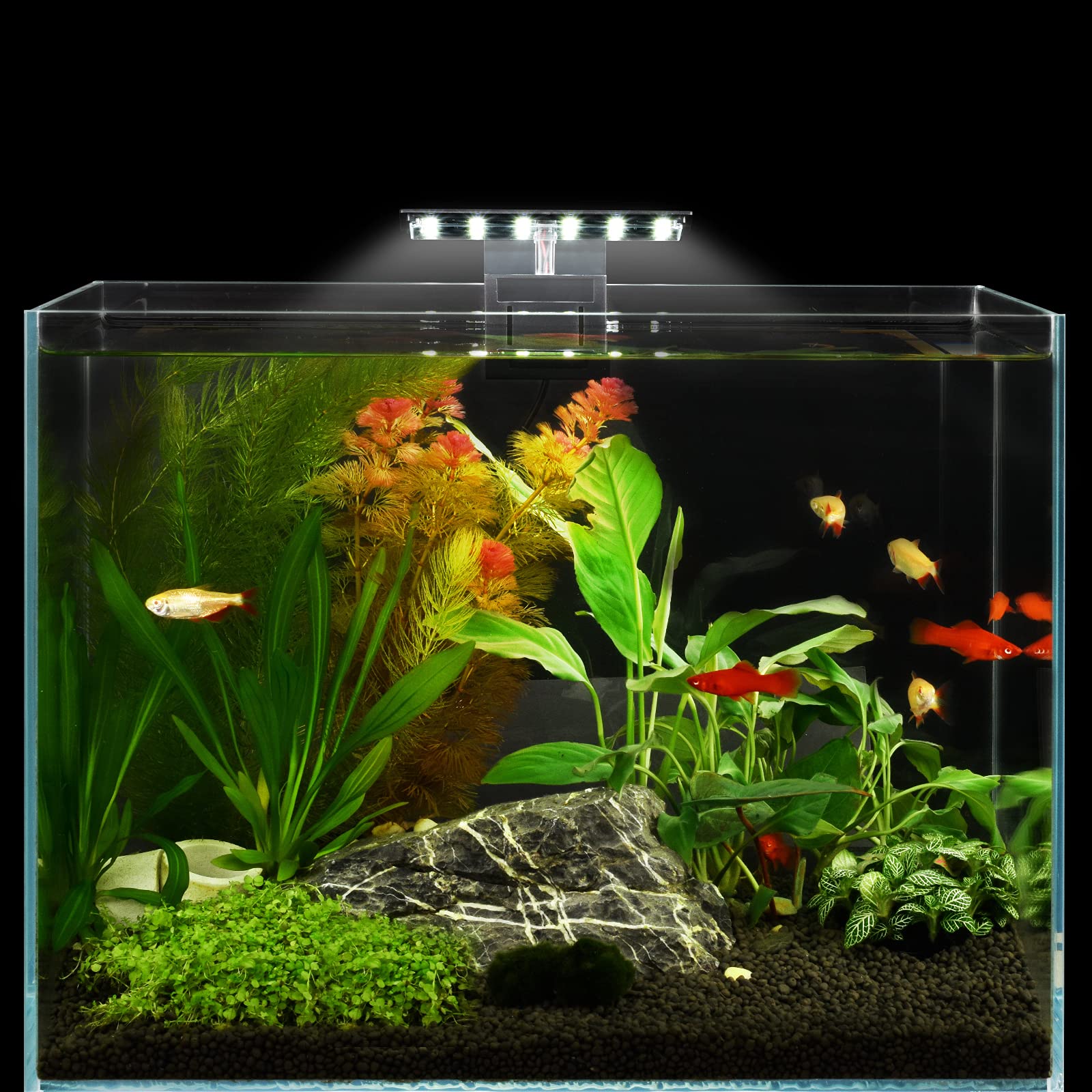 WEAVERBIRD Aquarium Light Fish Tank LED Light 6W 12 LED Planted Clip Lamp for 8-15Inch 6mm Thick Fish Tanks