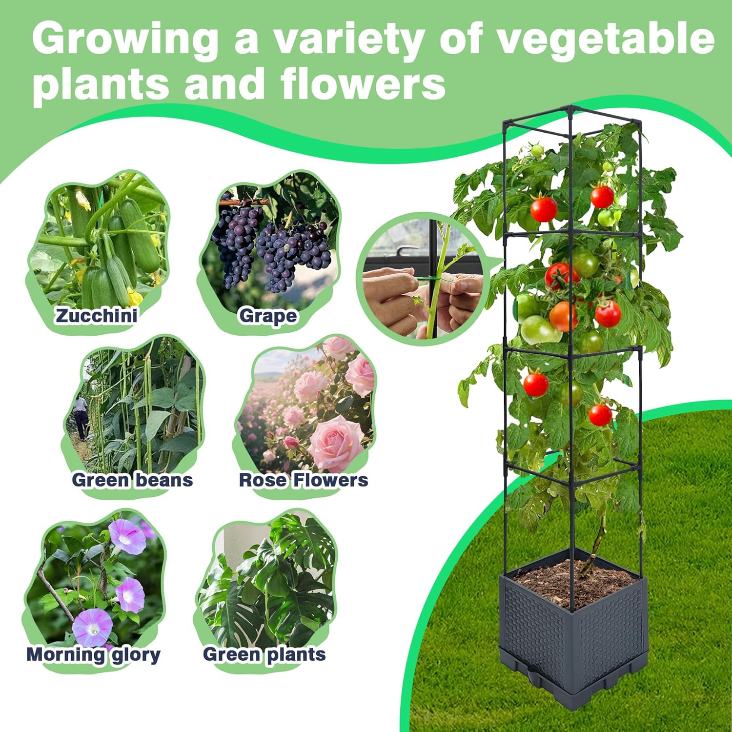 Raised Garden Bed Planter Box, 2 Pack 56" Self-Watering Tomato Planter with Trellis for Climbing Vegetables Plants Grape Fruit Flowers,Use for Indoor Outdoor Garden Patio