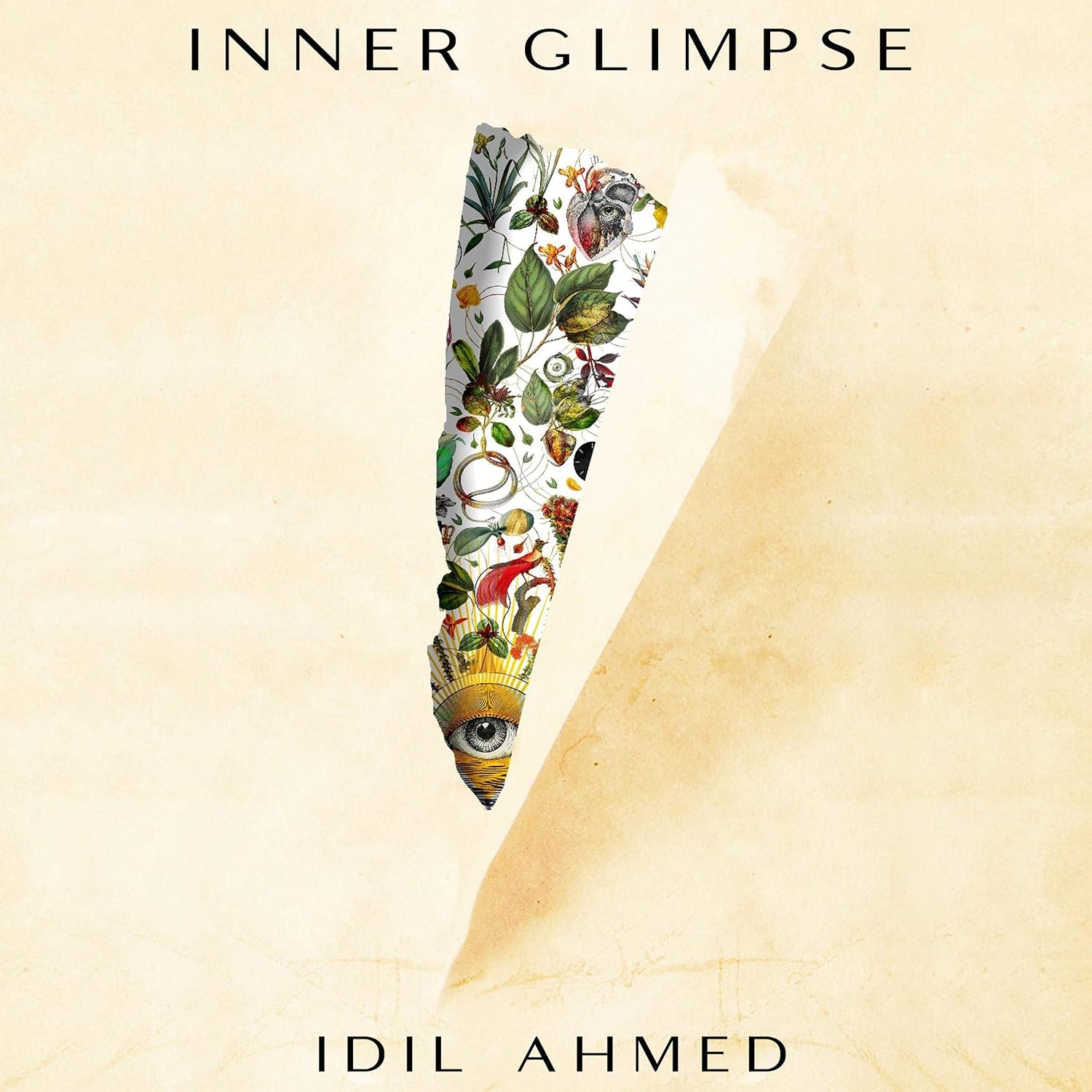 Inner Glimpse