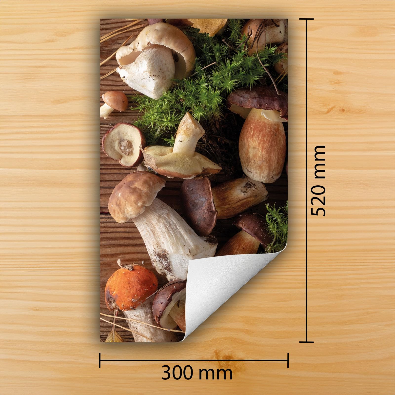 DarHaus Inductie kookplaat beschermer - Fornuis afdekplaat 30x52 cm