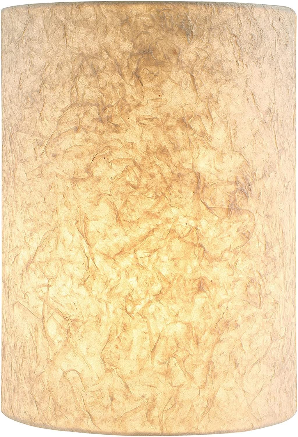 Aspen Creative 31291A Transitional Drum (Cylinder) Shape Spider Construction Lamp Shade in White 8" wide (8" x 8" x 11")