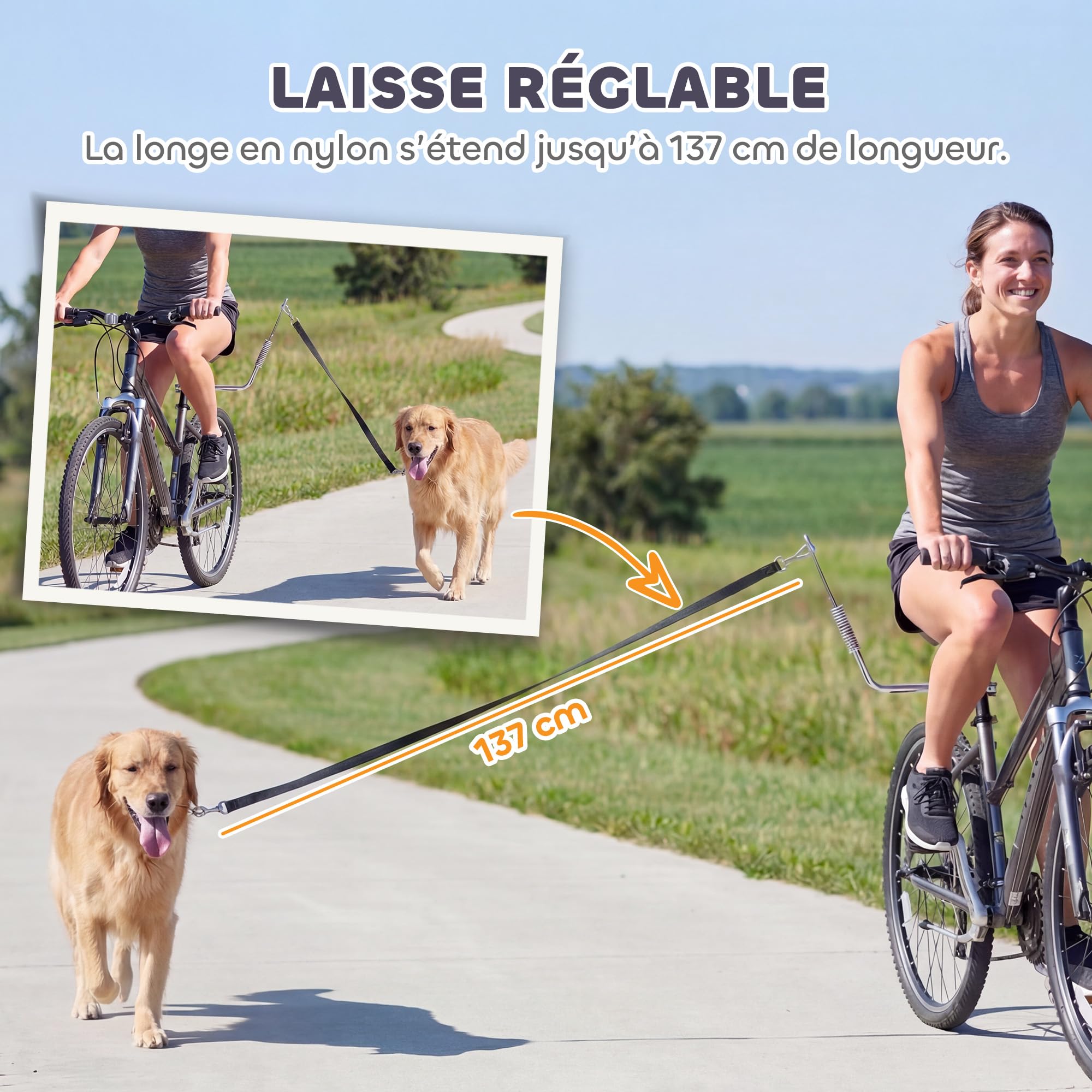 PawHut Laisse de Vélo pour Chien 180 cm en INOX, Fixation Rapide, Ressort Amortisseur, Sangle Ajustable, Vélo pour Chien Mains Libres, Laisse d'exercice pour Entraînement Jogging Cyclisme, Argent
