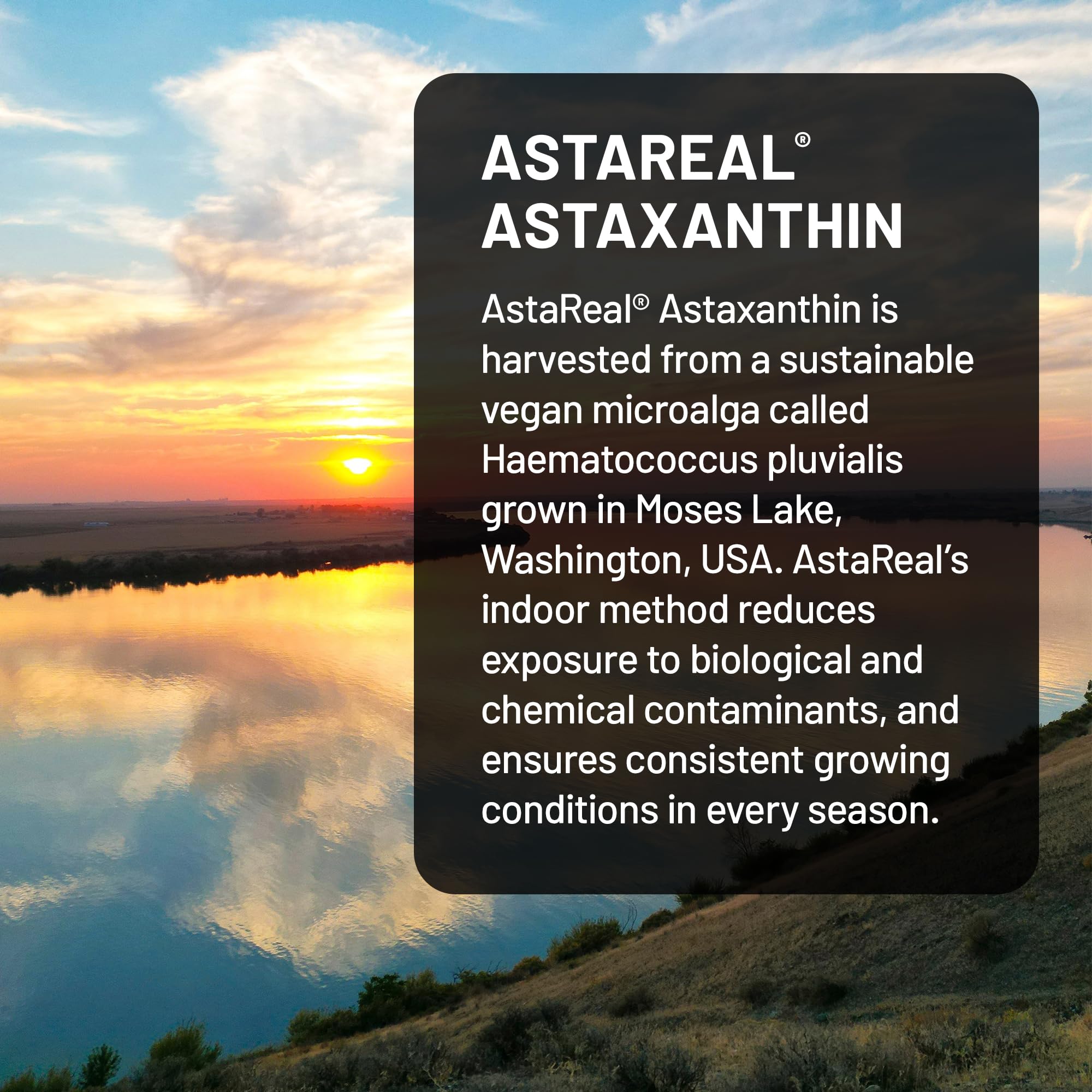NatureWise Triple Strength Astaxanthin 12mg with AstaReal® - Vegan Antioxidant Supplement with Organic Coconut Oil - NSF Certified Gluten Free, 60 Softgels[60 Day Supply] — Amazon image 3