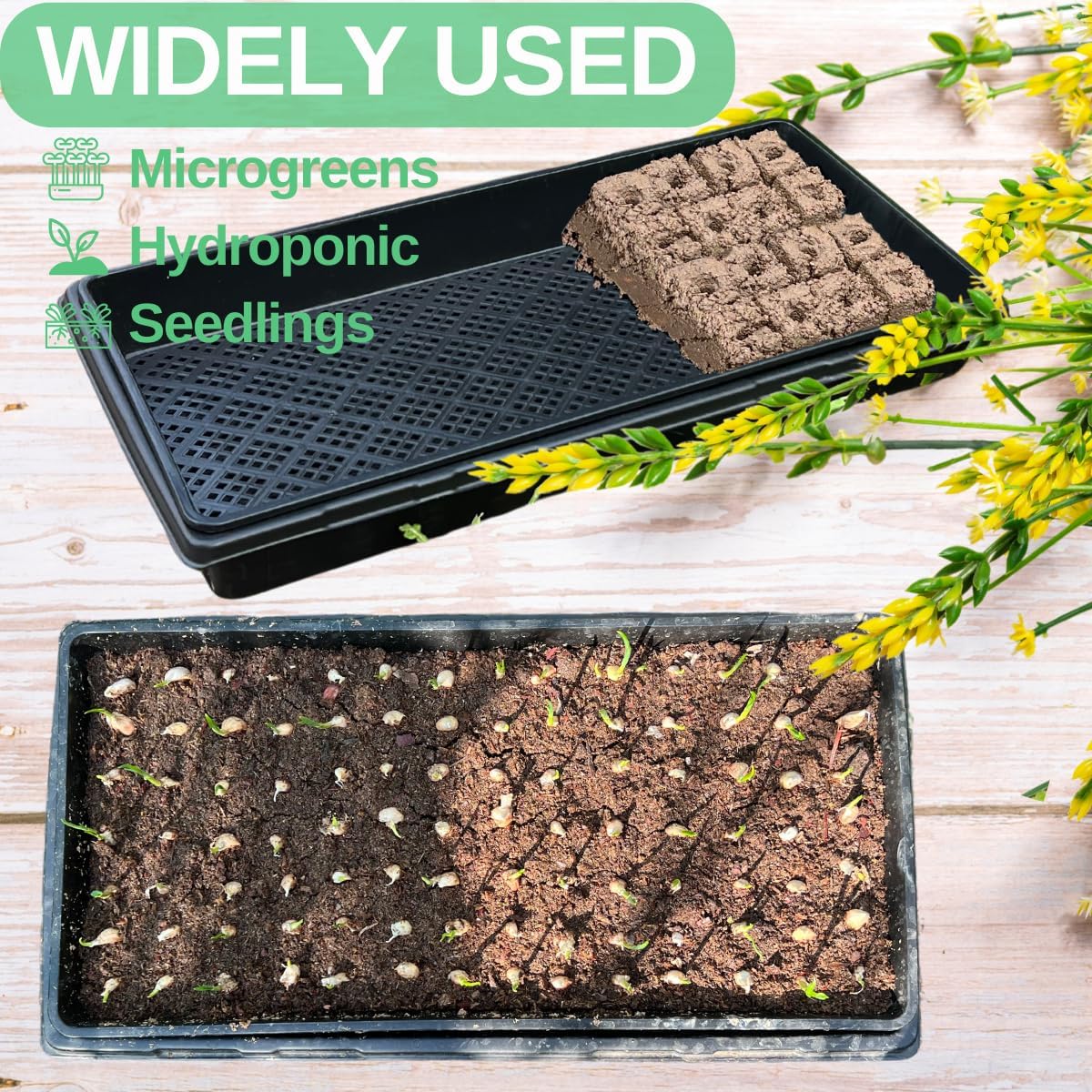 1020 Trays Set - 5 Pack (10 Pcs) Durable 1020 Mesh Tray and No-Hole Tray, Ideal Soil Blocking Trays for Seedlings, Microgreens, and Hydroponics, Heavy-Duty