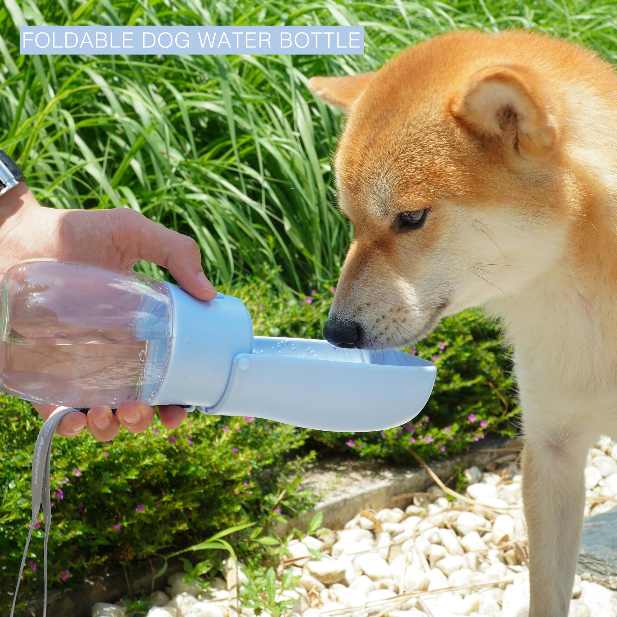 Faltbare Hunde-Wasserflasche, tragbarer Wasserspender für Hunde, Katzen, Kaninchen, Welpen und andere Kleintiere zum Spazierengehen, Wandern, Reisen. Spülmaschinenfest, Welpenzubehör, 284 ml