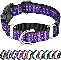 Hikiko Martingale Dog Collar Reflective Nylon Quick-Release Adjustable No-Slip Training Collar Medium Purple