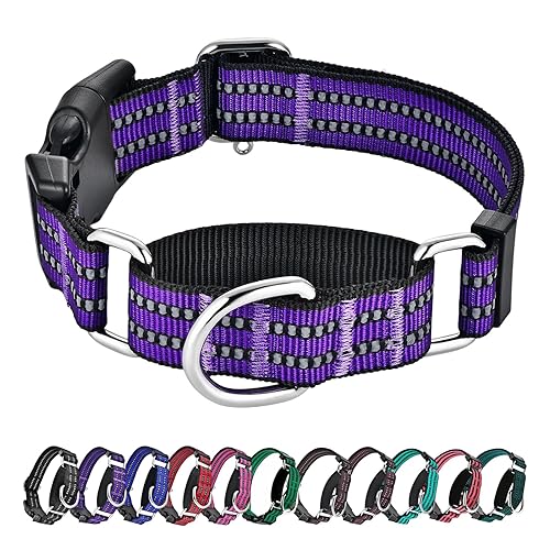 Hikiko Martingale Collar for Dogs Reflective Nylon Dog Collar with