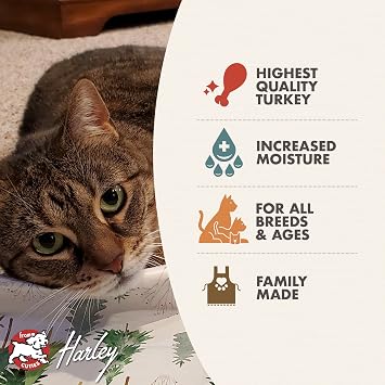 Fromm Perfectly Pate Turkey Pate Cat Food - Premium Wet Cat Food - Turkey Recipe - Case of (12) 5.5 oz Cans