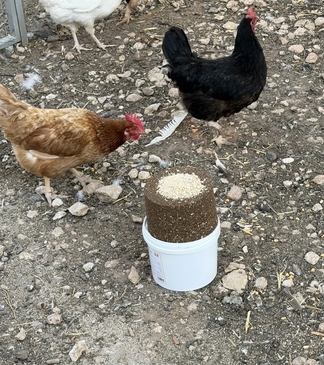 4 kg blok mineralny dla drobiu z makro- i mikrominerałami dostarcza organicznego wapnia, witamin i zbóż